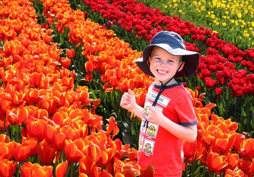 tulips, kids, salt lake city, spring activity, family activity, family fun