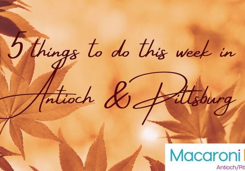 5 things. to do this week