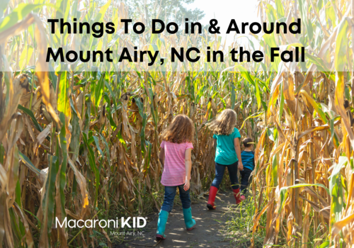 Things to Do In & Around Mount Airy, NC in the Fall Graphic children in corn field