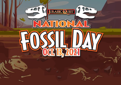 Fossil Day