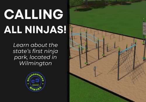 ninja playground