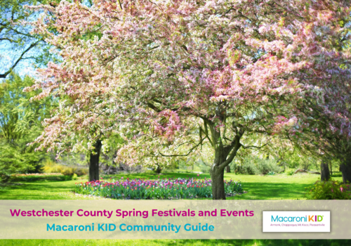 cherry blossoms, guide to spring special events in westchester county