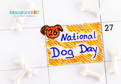 National Dog Day The Woodlands Texas Montgomery Family Parenting Dog Days