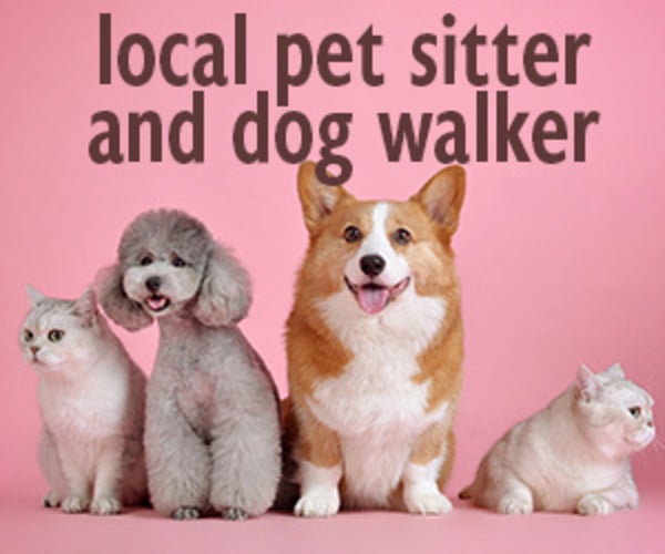 pet sitter