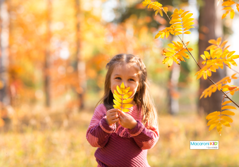 when does fall leaf color peak?