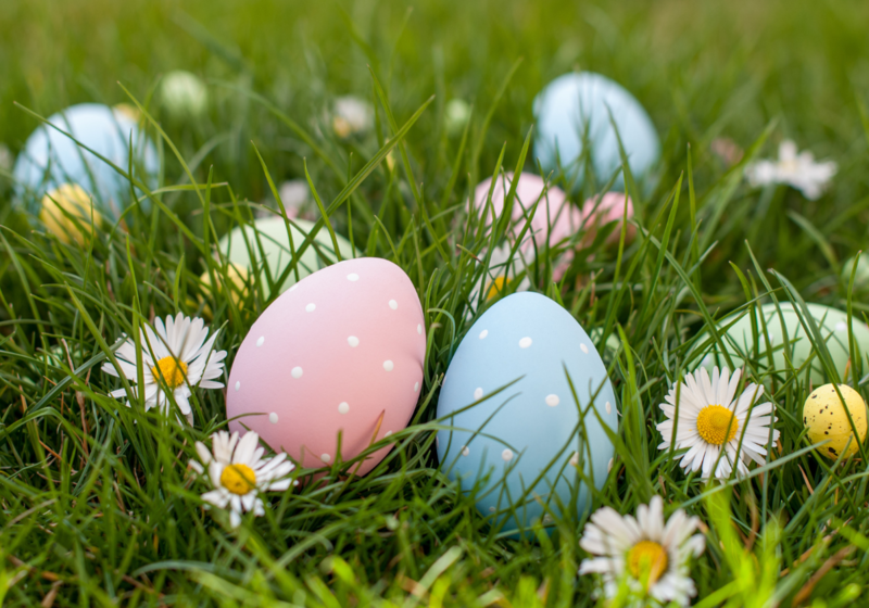blue and pink easter eggs in grass