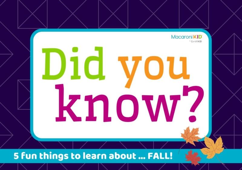 Did you know? Fall