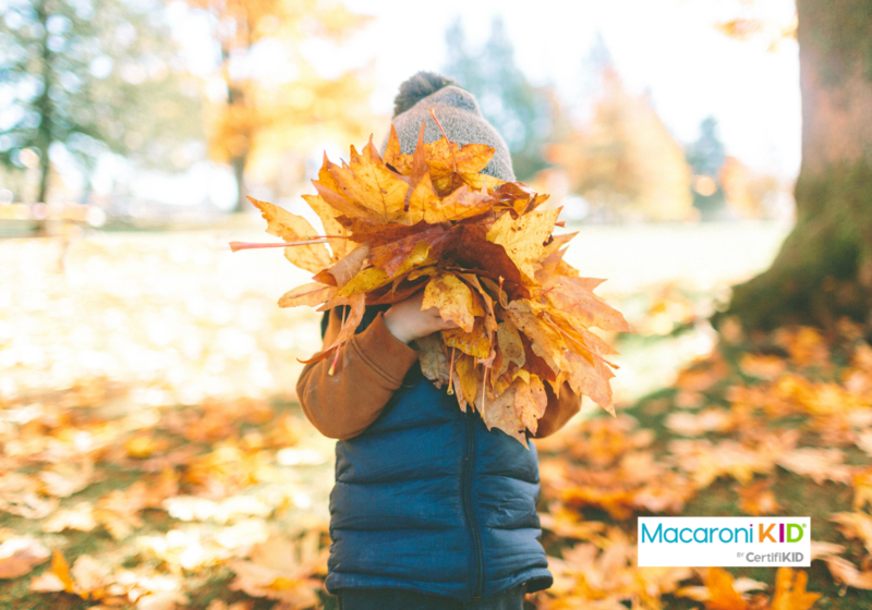 Kid playing autumn leaves at the park