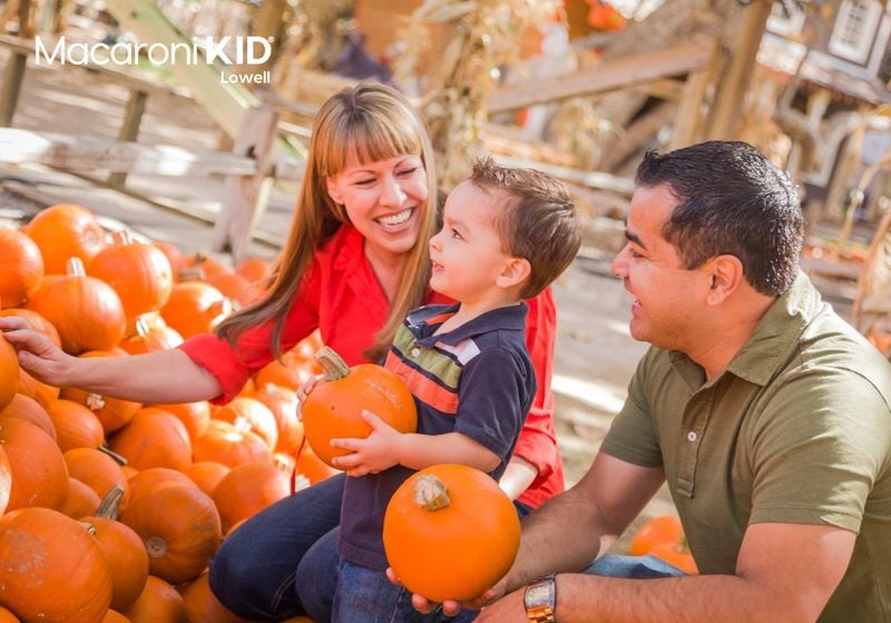 Family picking a pumpkin