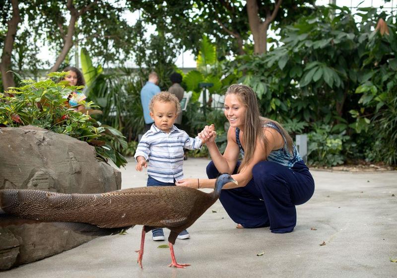 National Aviary 