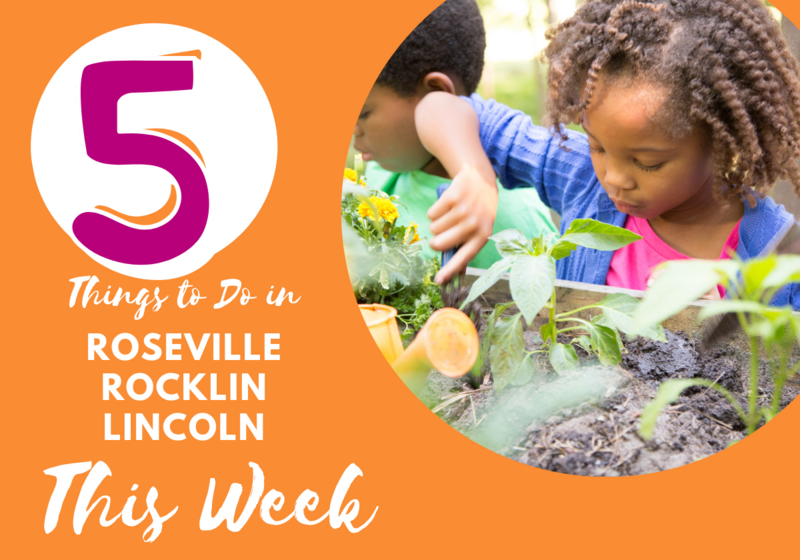 things to do in Roseville, Rocklin, Lincoln CA