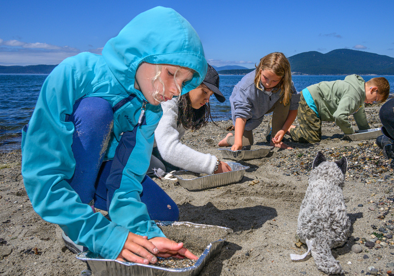 Salish Sea School Summer Camps Outdoor Marine Learning