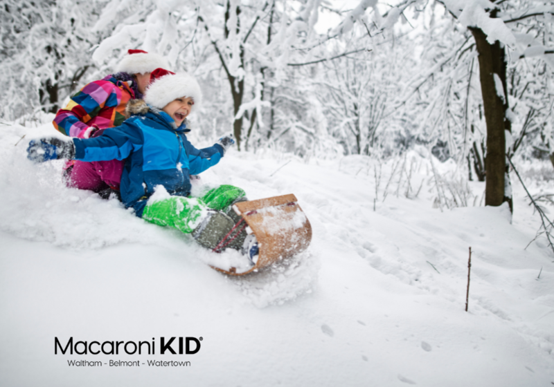 Little boy and his elder sister are tobogganing in forest on Christmas. Kids are 12 and 8 years old. Cold winter day. Shot with Nikon D850