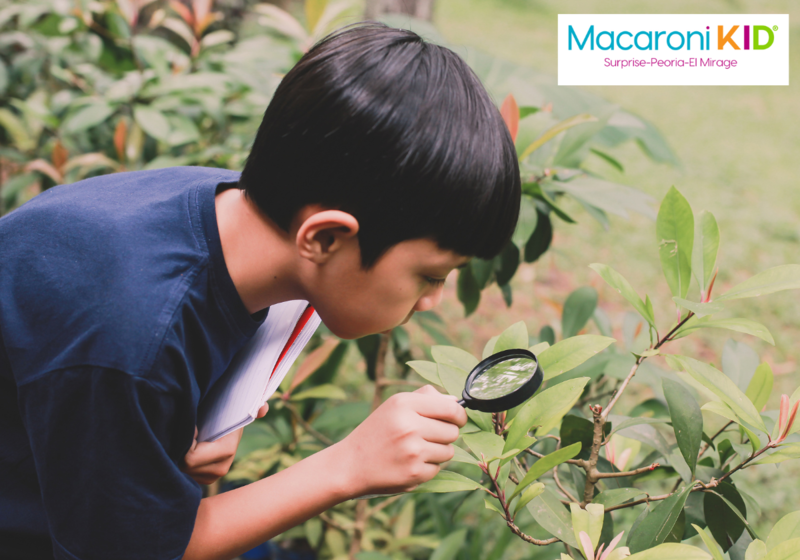 Child using a magnifying glass to look at plants