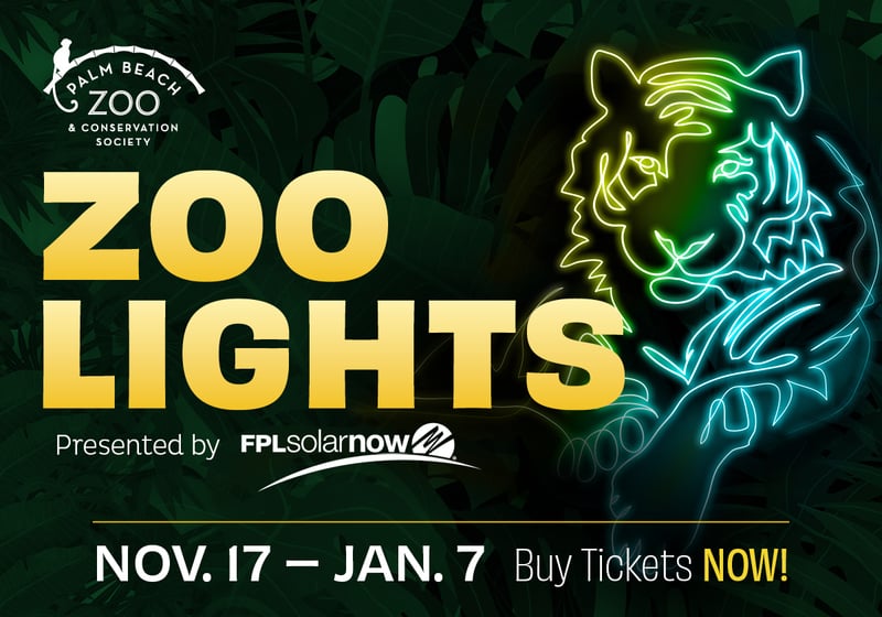 Zoo Lights at Palm Beach Zoo!