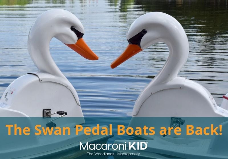 the swan pedal boats the woodlands township the woodlands mall spring things to do with families kids date nights north Houston moms the woodlands moms magnolia spring conroe loco moms montgomery