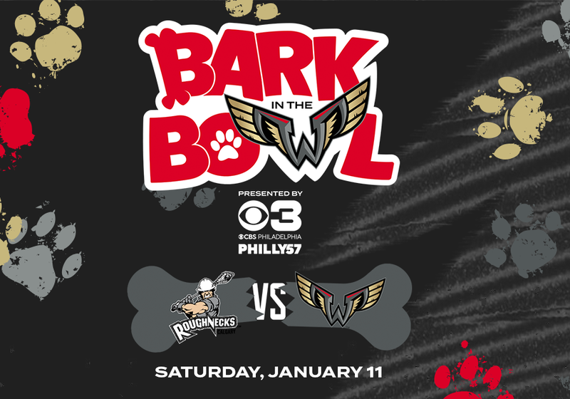 BarkintheBowl 