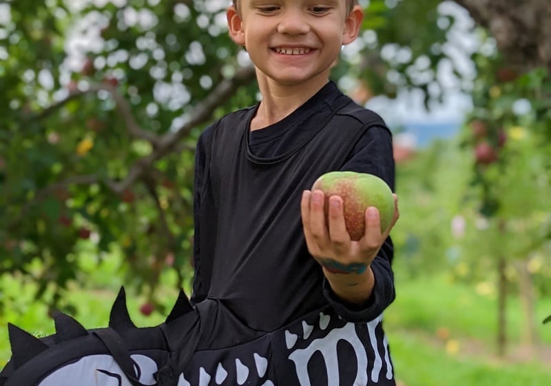 APPLE PICKING NYC MACARONI KID UES