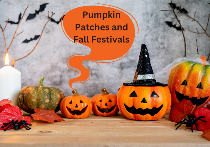 Halloween accessories Pumpkin patches and fall festivals