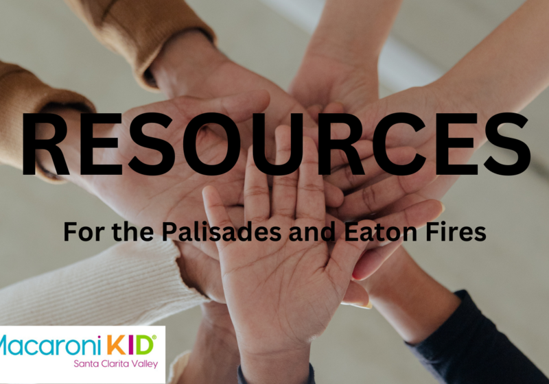 RESOURCES for the palisades and eaton fires