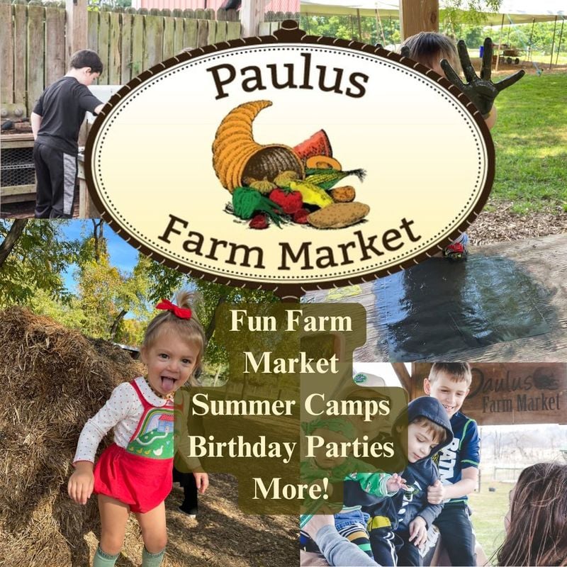 Discover hands-on farm fun at Paulus Farm Market in Mechanicsburg! Enjoy summer camps, birthday parties, animal encounters, and more in a family-friendly setting.