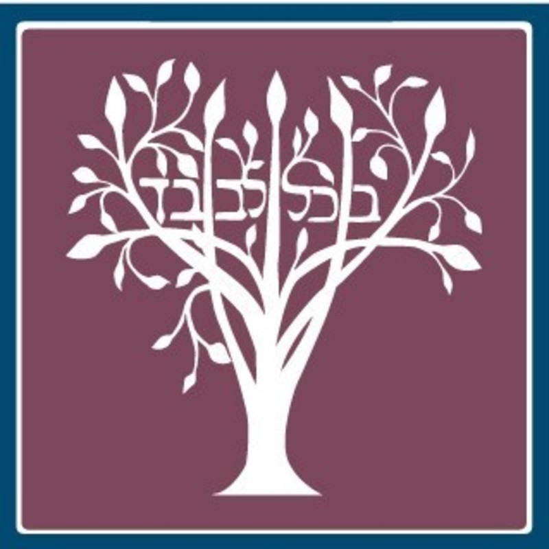 Temple Sinai logo; graphic: tree.