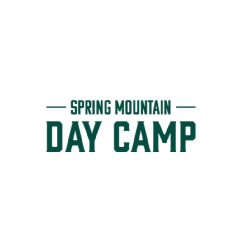 spring mountain day camp