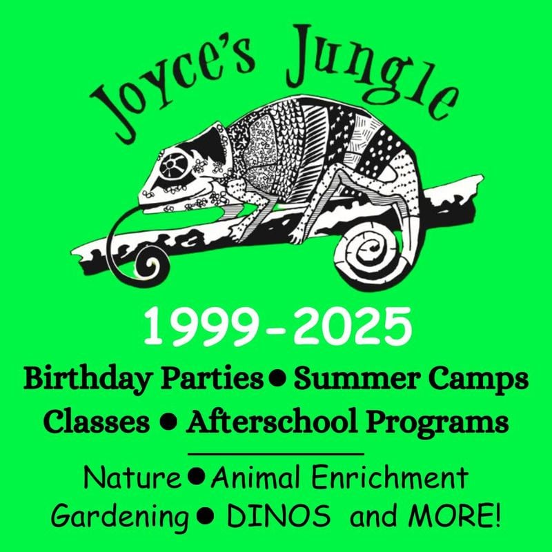 Logo for Joyce's Jungle, neon green back ground with a black and white chameleon on a tree branch