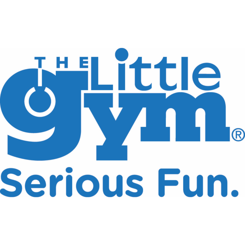 Shows the text logo for The Little Gym and tagline says Serious Fun.