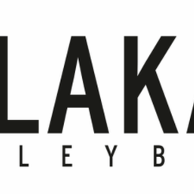 Lakas Volleyball Logo