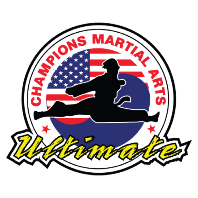 Champions Martial Arts – Carroll Gardens and Brooklyn Heights