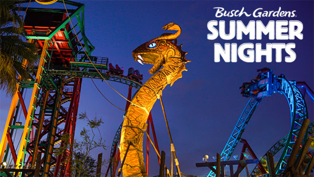 Summer Nights At Busch Gardens Tampa