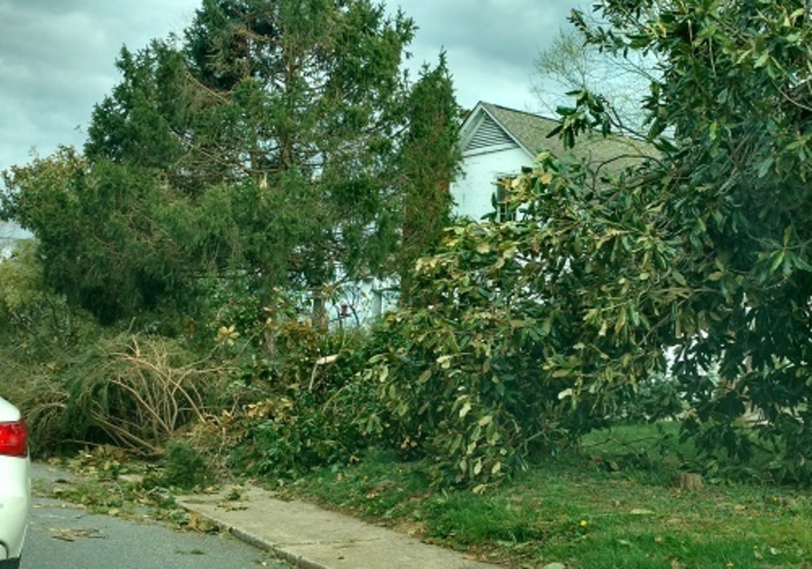 Tornado Aftermath in Lynchburg VA and Surrounding Area | Macaroni Kid ...