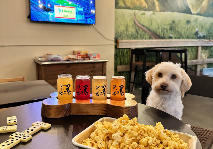 Kombucha Brewery Temecula Dog Friendly Rescues Games