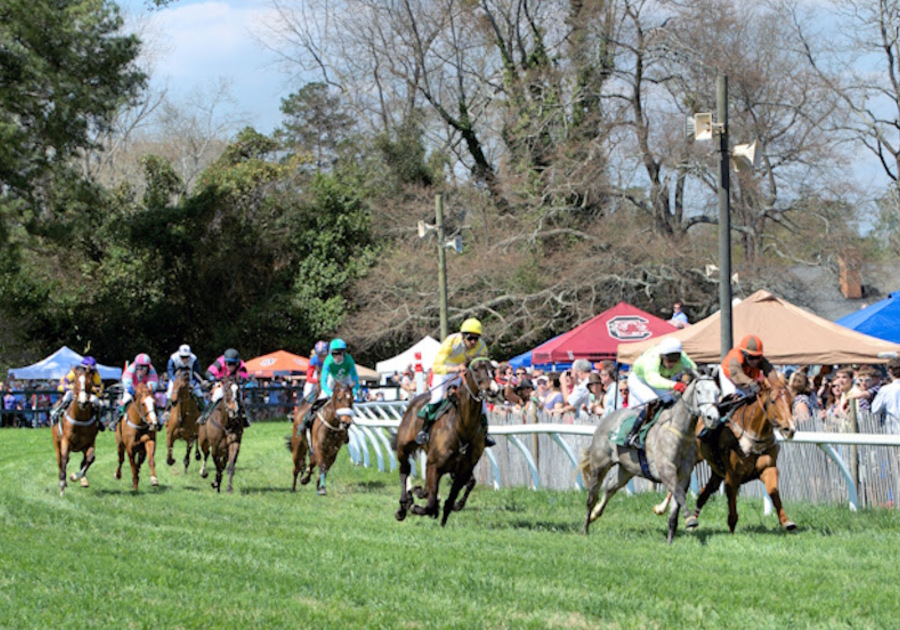 Thoroughbred Country, South Carolina