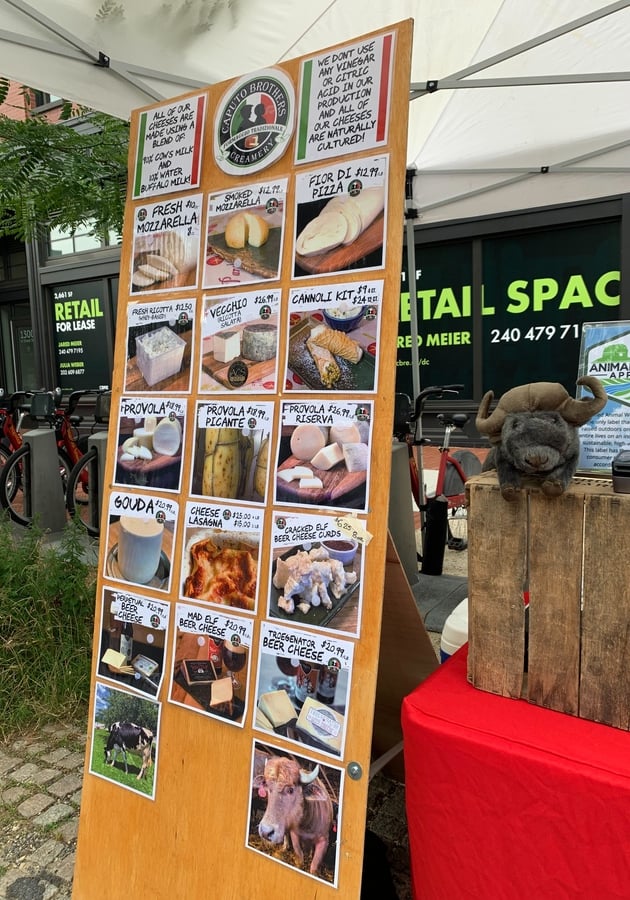 display of cheeses from the cheese vendor