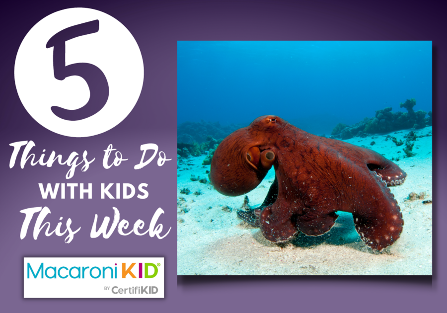 5 Things To Do With Kids This Week