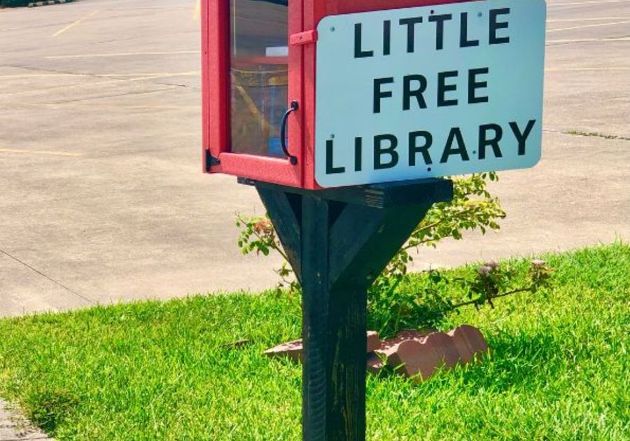 Little Free Library Vertical