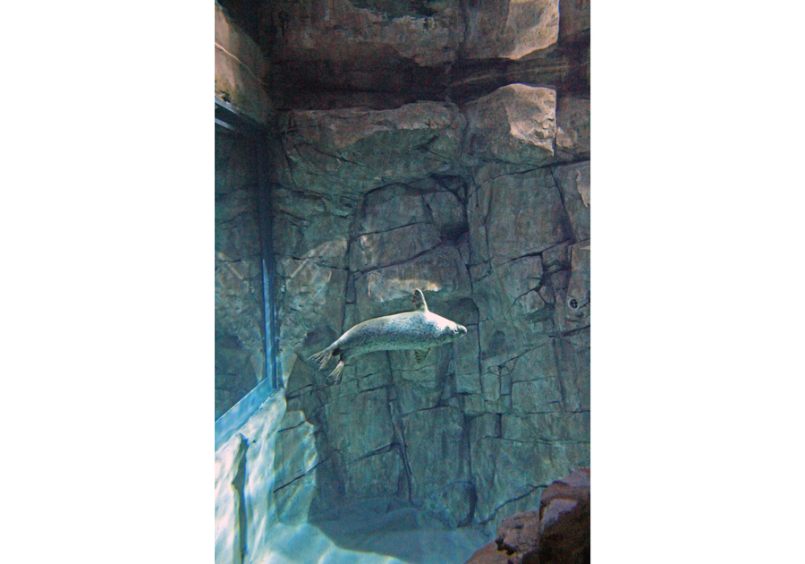 Maritime Aquarium at Norwalk