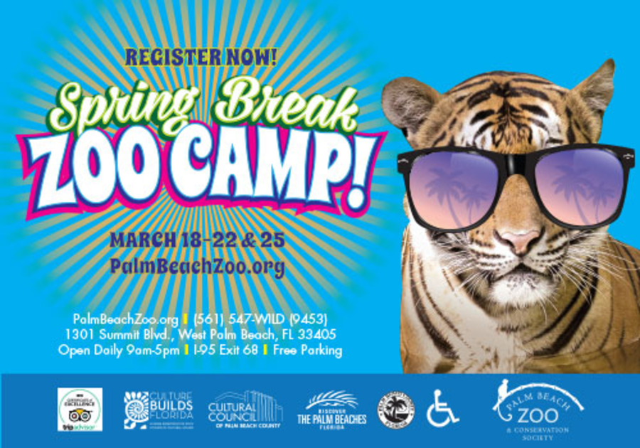 Spring Break Camp at the Palm Beach Zoo in West Palm Beach Macaroni