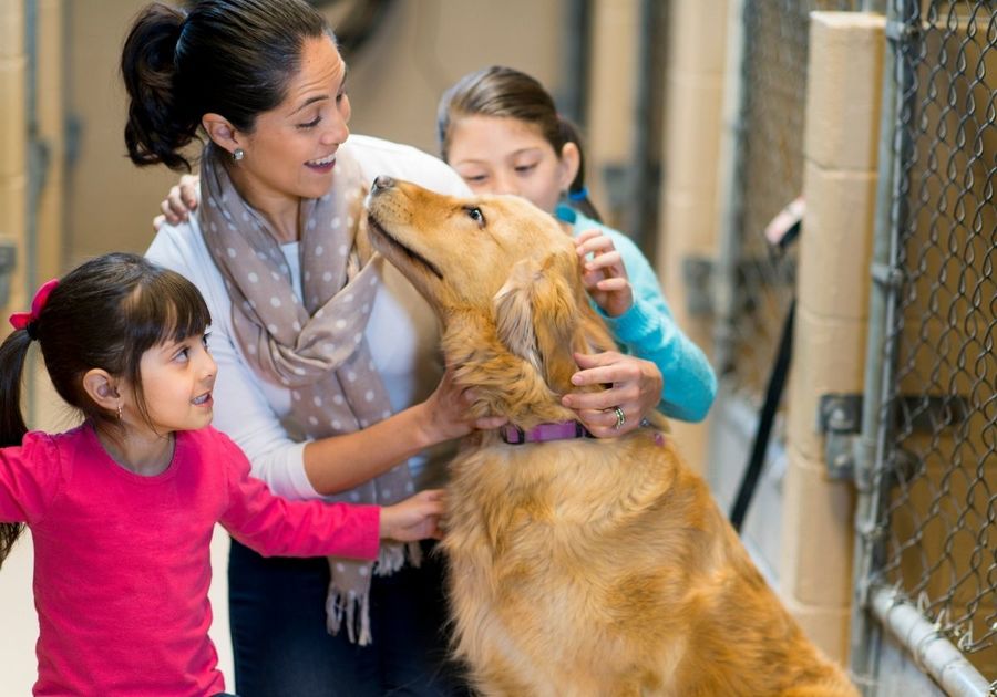 Family playing with dog at animal shelter