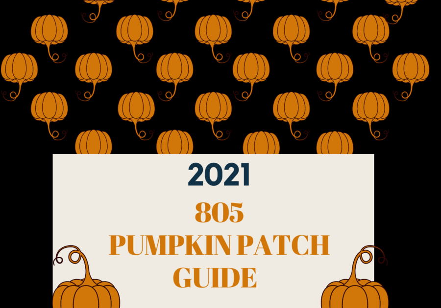 805 and Ventura County Pumpkin Patch Guide