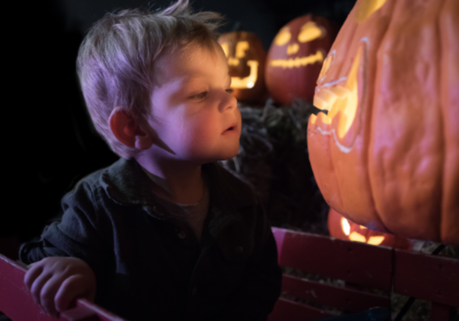 Carved Eagles pumpkin at The Glow event at The Mann Center : r/eagles