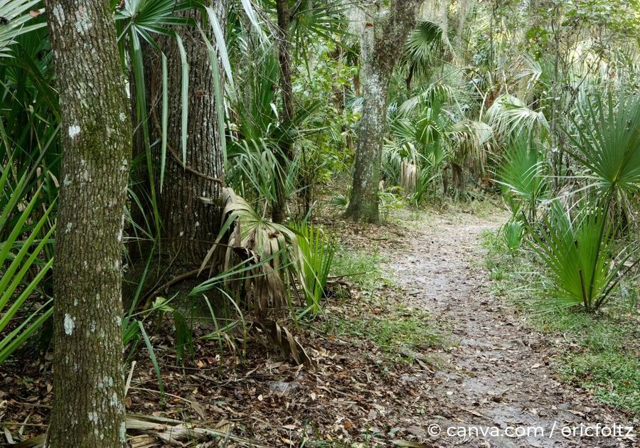 Florida Hiking Trail