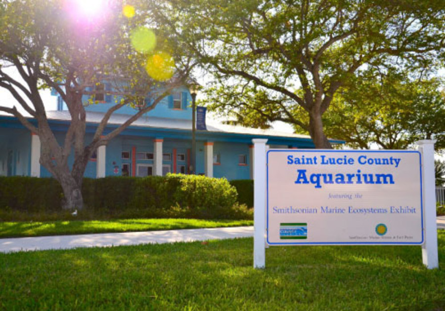 St Lucie County Aquarium featuring the Smithsonian Marine Ecosystem Exhibit