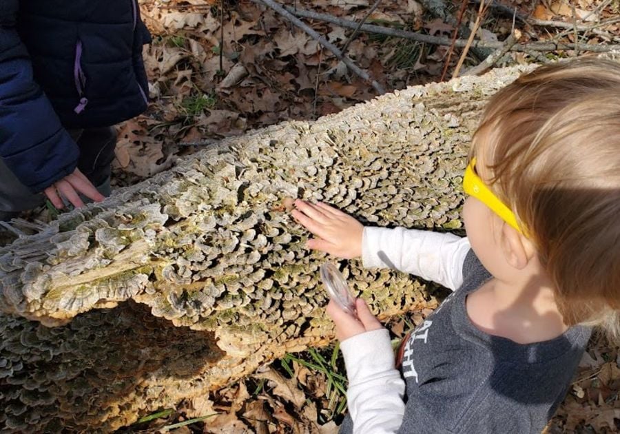 The Moss House Forest School Playfully Wild! Nature Class