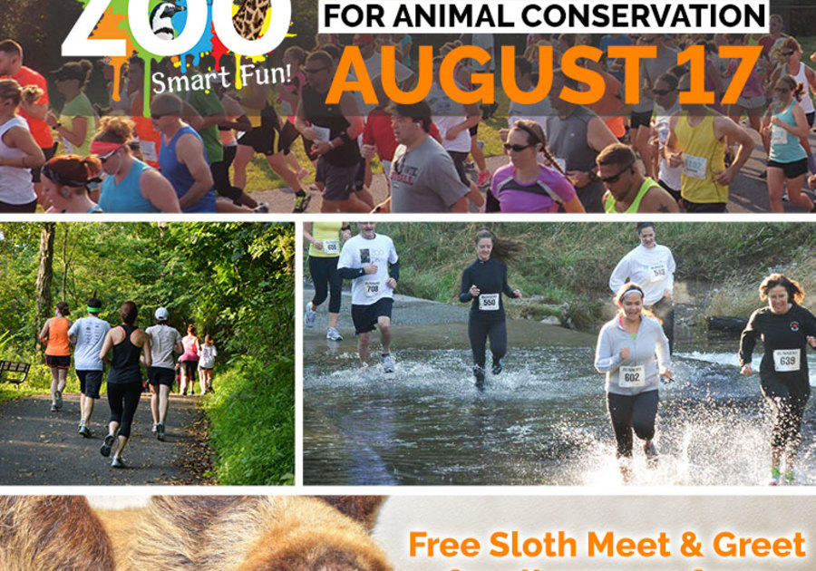smart fun run wild zoo lehigh valley August 17, 2019