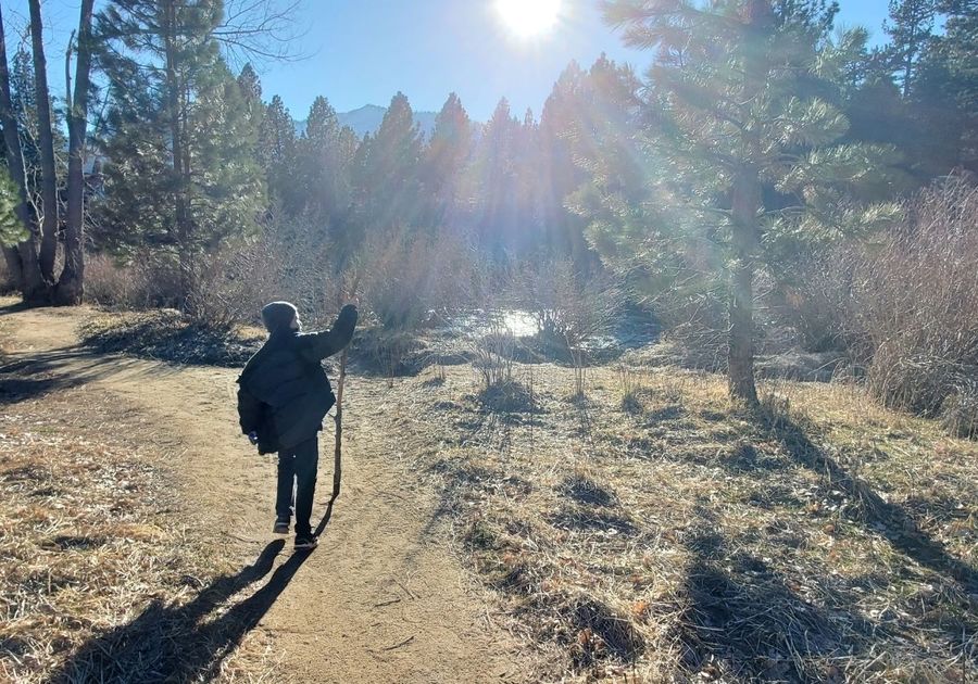 boy walking trail with stick kids things do events happenings local reno sparks Spanish springs nevada deals discounts fun attractions ideas places to go outdoors hiking verdi trails park crystal peak