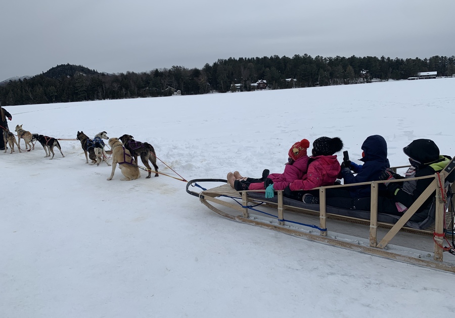Dog sledding at Lake Placid