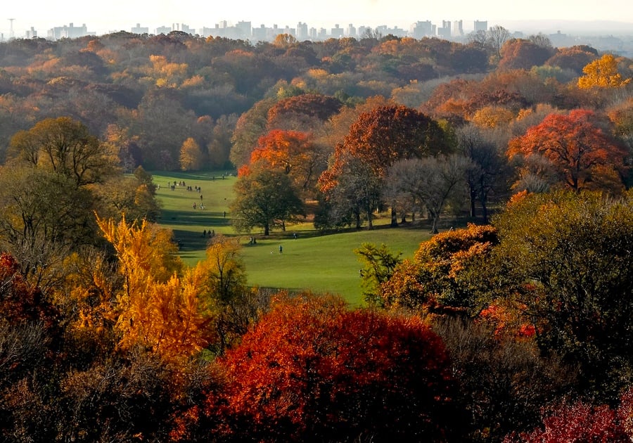 Prospect Park in autumn – Fall Foliage